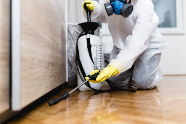 Best Affordable Pest Control Services  in Mowbray Mountain, TN