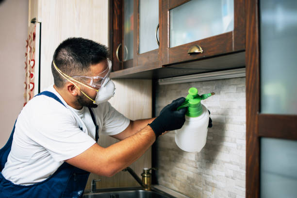 Best Commercial Pest Control Services  in Mowbray Mountain, TN