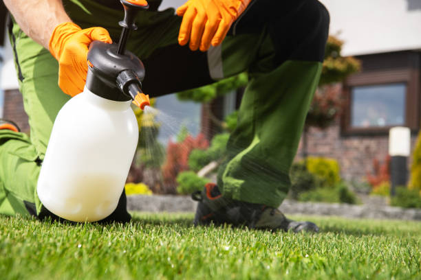 Best Exterminator Services  in Mowbray Mountain, TN