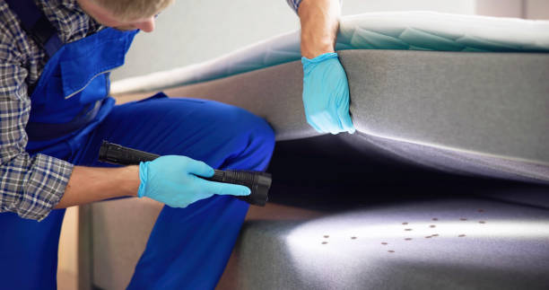 Best Best Pest Control Companies  in Mowbray Mountain, TN