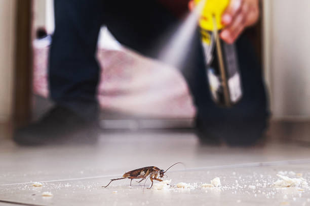 Best Emergency Pest Control  in Mowbray Mountain, TN