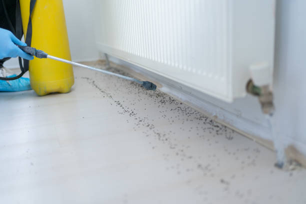 Best Pest Inspection Near Me  in Mowbray Mountain, TN